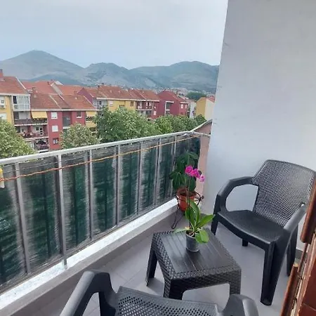 Orhideja/Orchid Trebinje